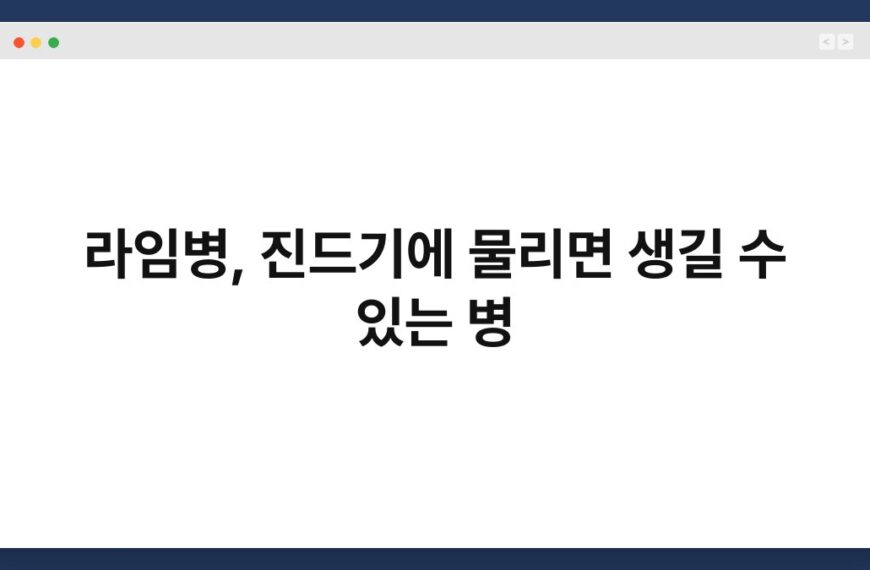 라임병, 진드기에 물리면 생길 수 있는 병 6