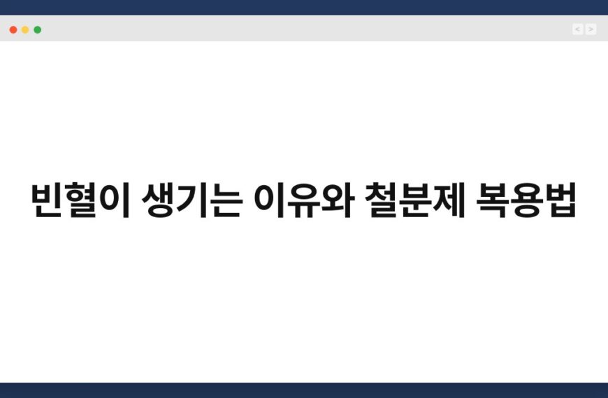 빈혈이 생기는 이유와 철분제 복용법 7