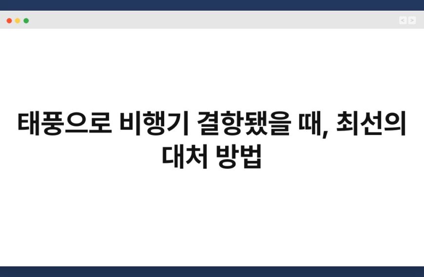 태풍으로 비행기 결항됐을 때, 최선의 대처 방법 3