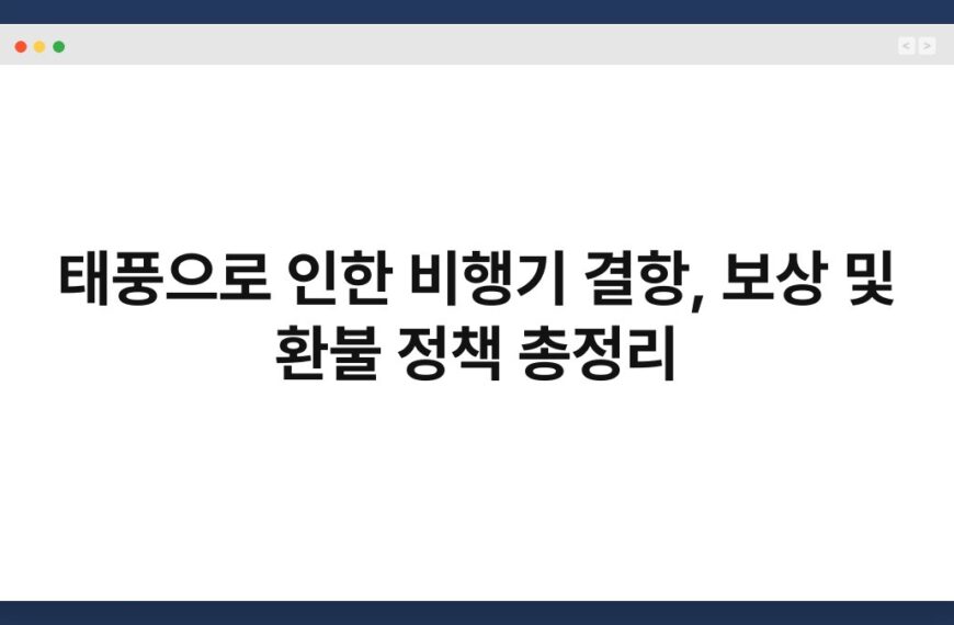 태풍으로 인한 비행기 결항, 보상 및 환불 정책 총정리 6